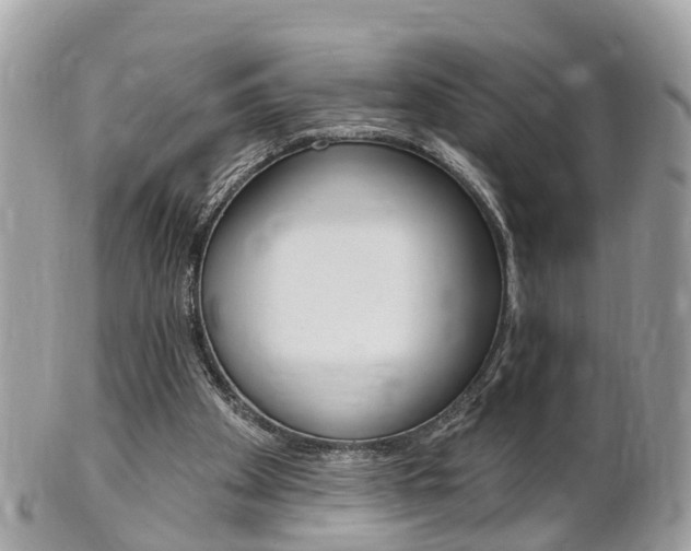 X0000102000105200807180857