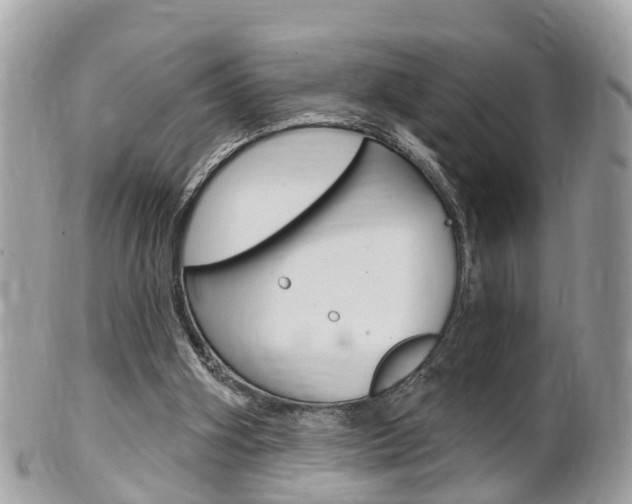 X0000102000106200807180857