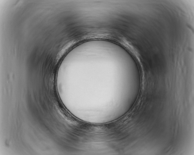 X0000102000107200807180857