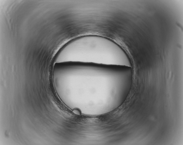 X0000102000108200807180857