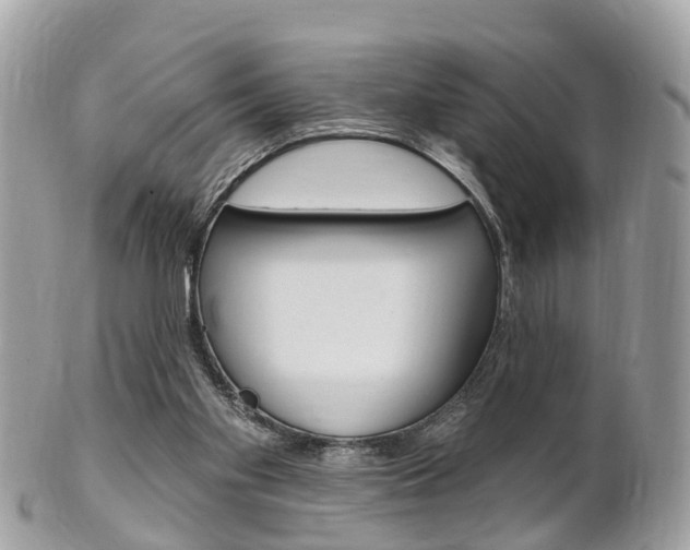 X0000102000109200807180857