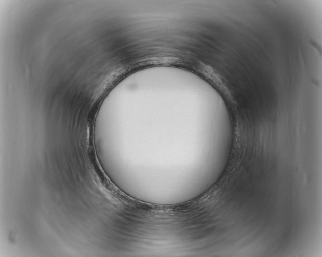 X0000102000110200807180857