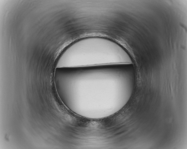 X0000102000111200807180857