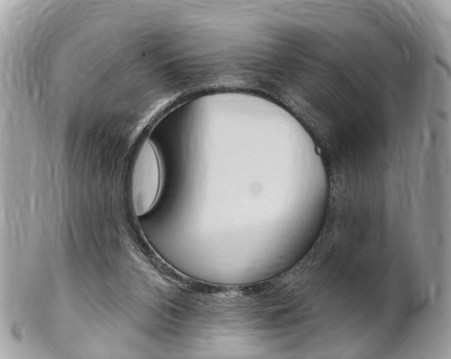 X0000102000112200807180857