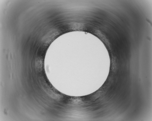 X0000102000113200807180857