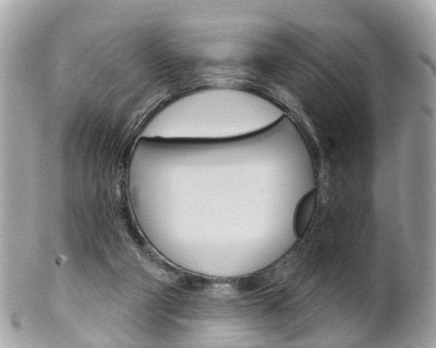 X0000102000114200807180857