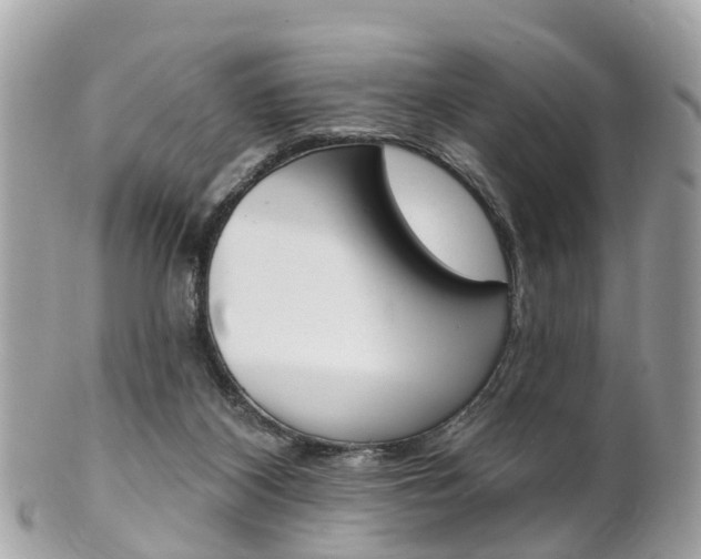 X0000102000116200807180857