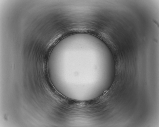 X0000102000120200807180857