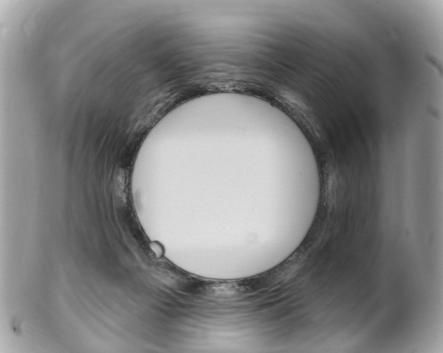 X0000102000121200807180857