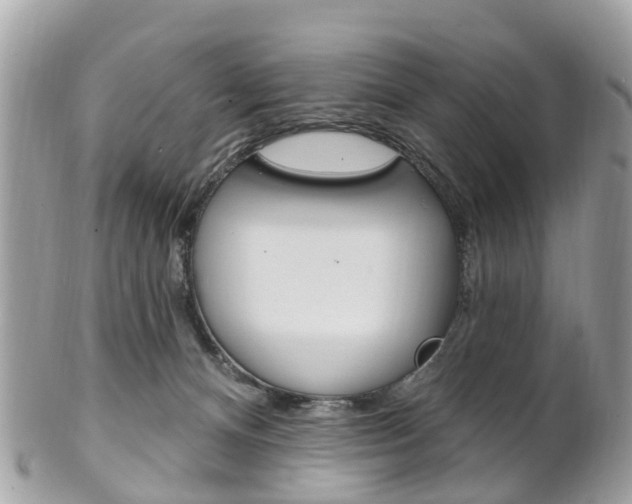 X0000102000128200807180857