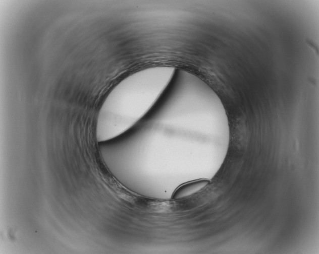 X0000102000131200807180857