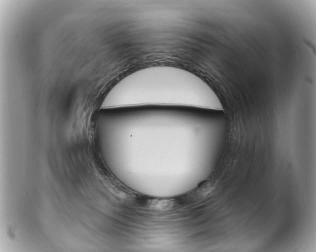 X0000102000135200807180857