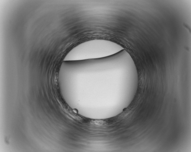 X0000102000137200807180857