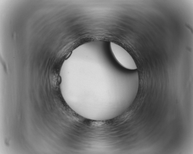 X0000102000139200807180857