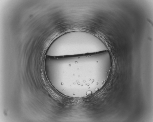 X0000102000145200807180856