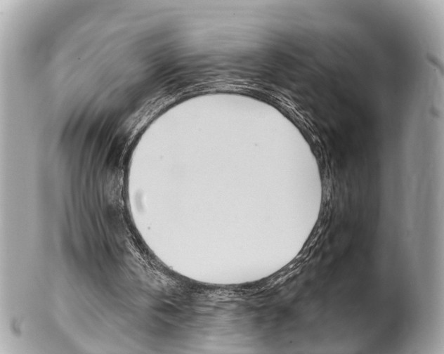 X0000102000146200807180856