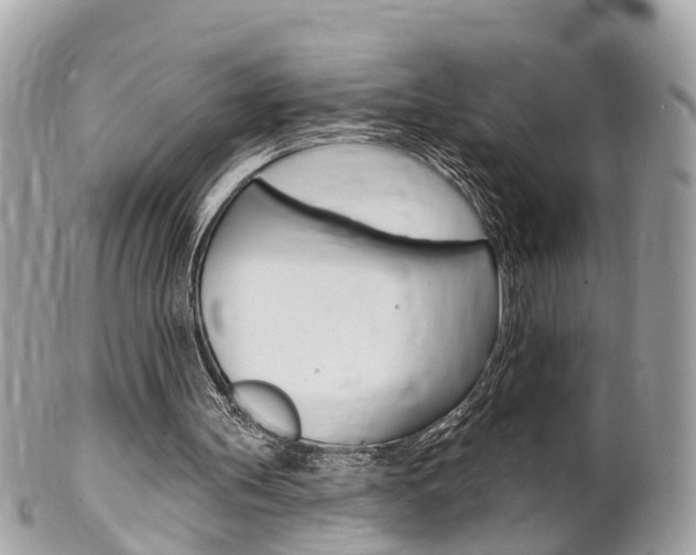 X0000102000147200807180856