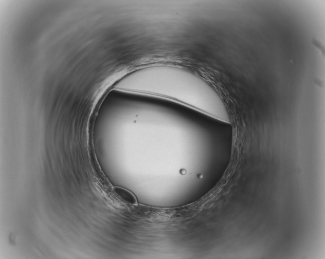 X0000102000148200807180856