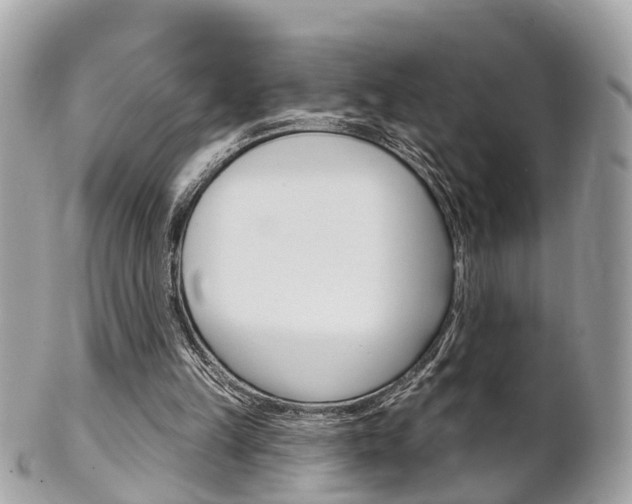 X0000102000149200807180856