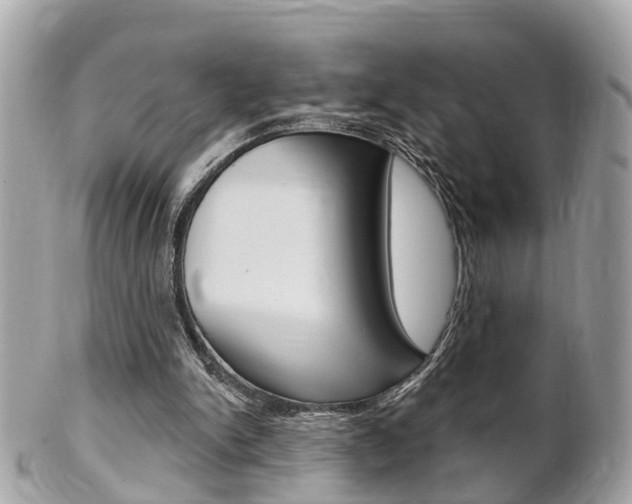 X0000102000150200807180856