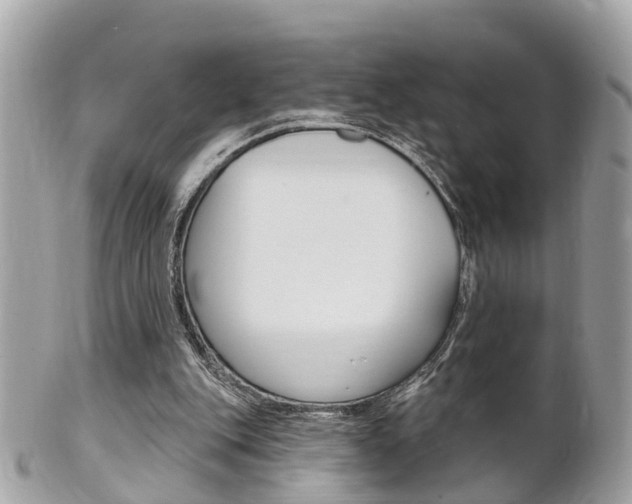 X0000102000151200807180856