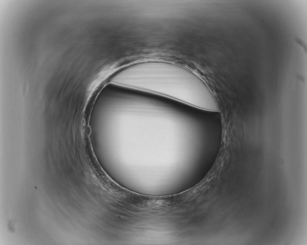 X0000102000152200807180856