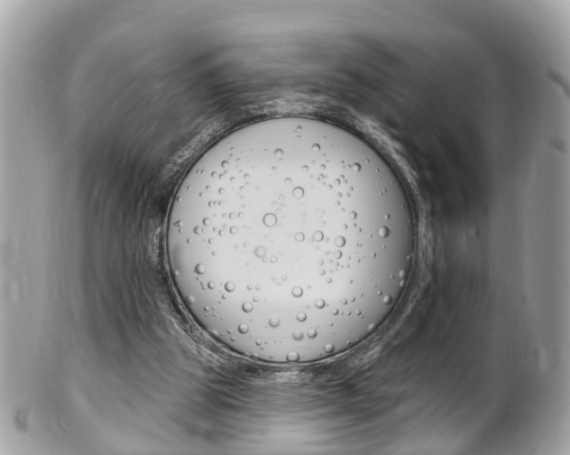 X0000102000153200807180856