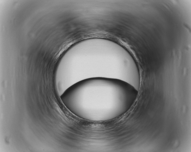 X0000102000154200807180856