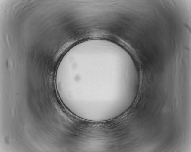 X0000102000155200807180856