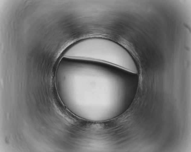 X0000102000156200807180856