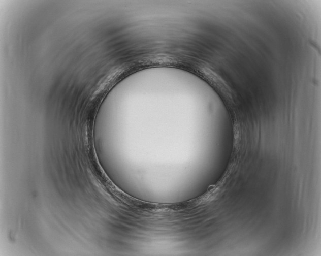 X0000102000158200807180856