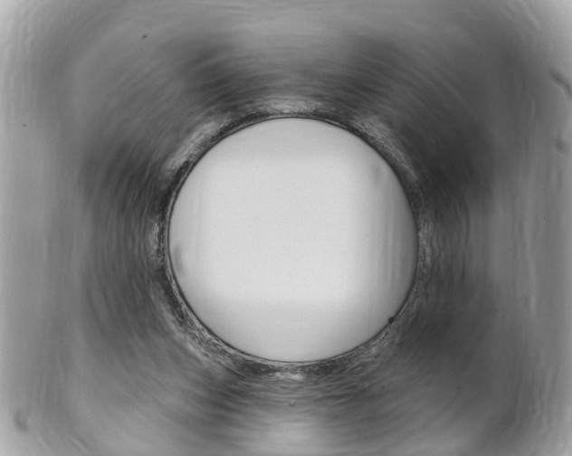 X0000102000159200807180856