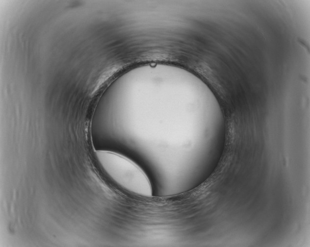 X0000102000160200807180856