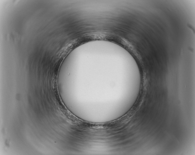 X0000102000161200807180856