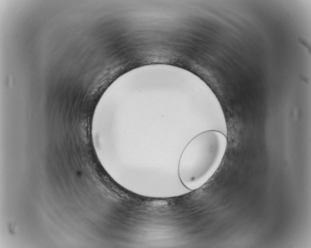 X0000102000162200807180856