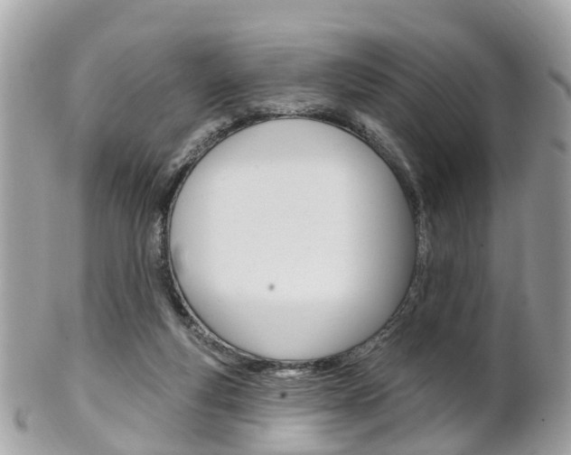 X0000102000163200807180856