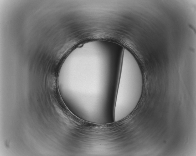 X0000102000164200807180856