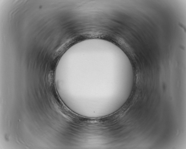 X0000102000165200807180856