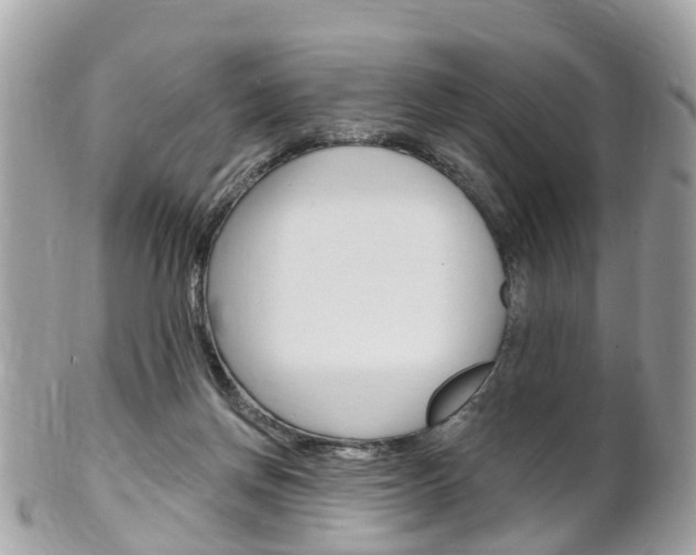 X0000102000166200807180856