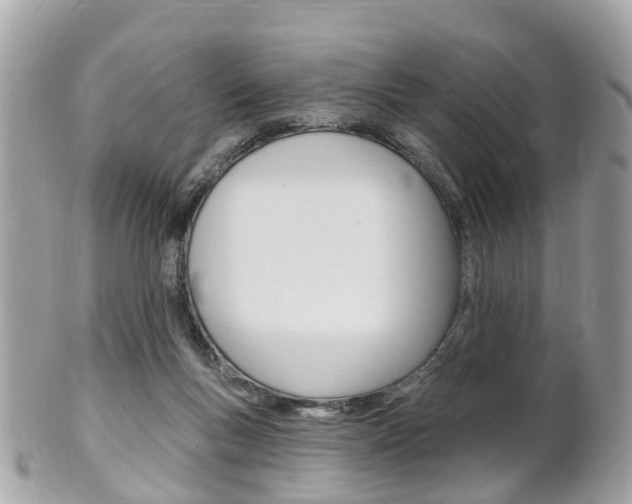 X0000102000167200807180856