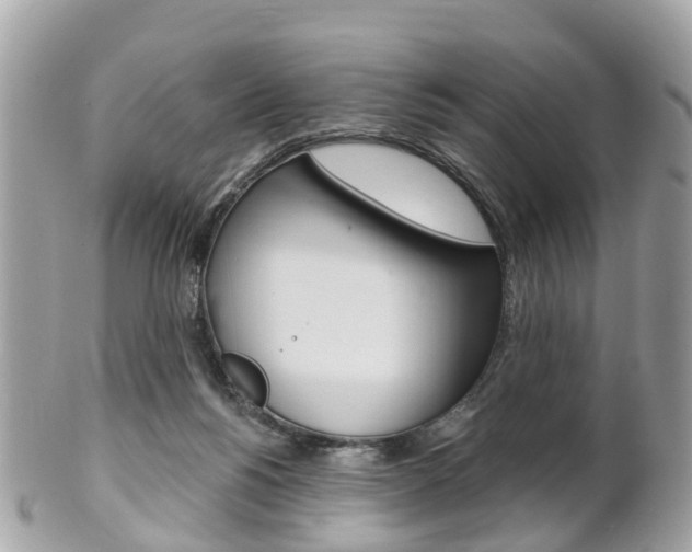 X0000102000168200807180856