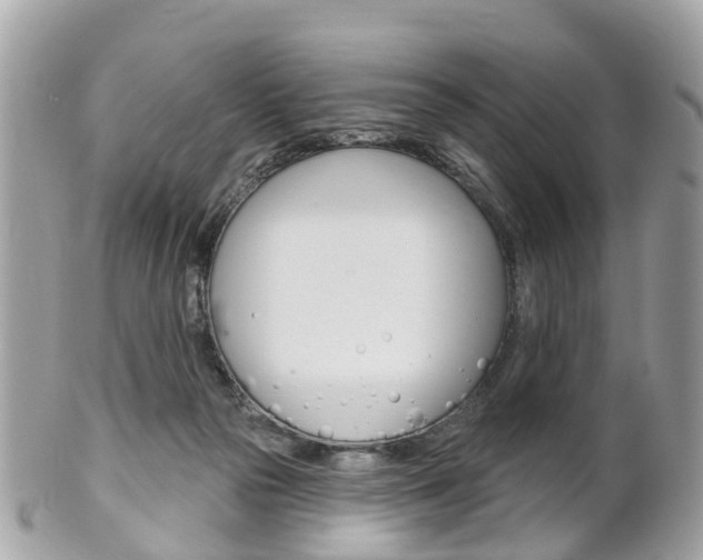 X0000102000169200807180856