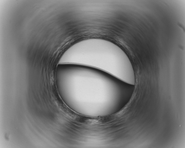 X0000102000170200807180856