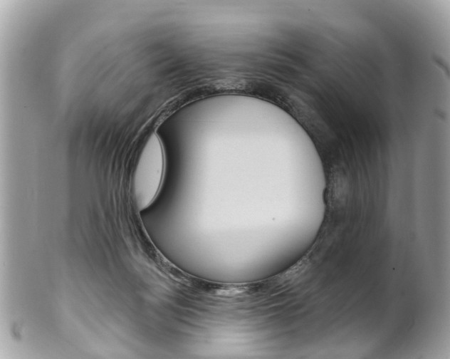 X0000102000172200807180857