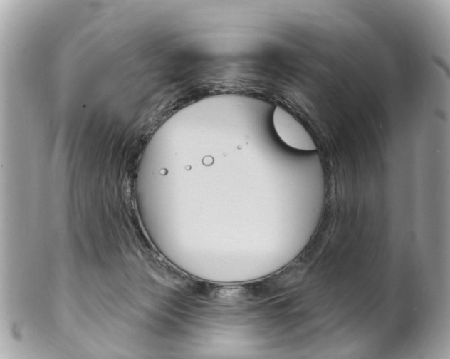 X0000102000173200807180857