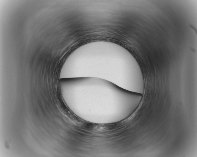 X0000102000174200807180857