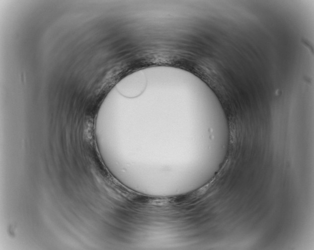 X0000102000175200807180857