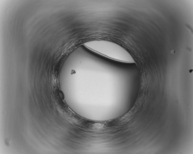 X0000102000176200807180857