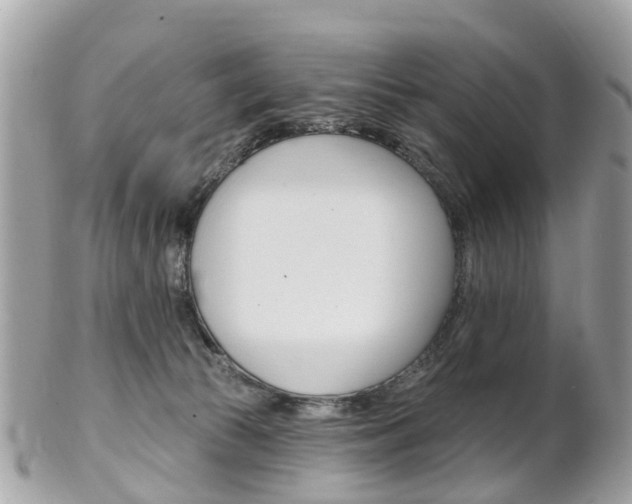 X0000102000177200807180857