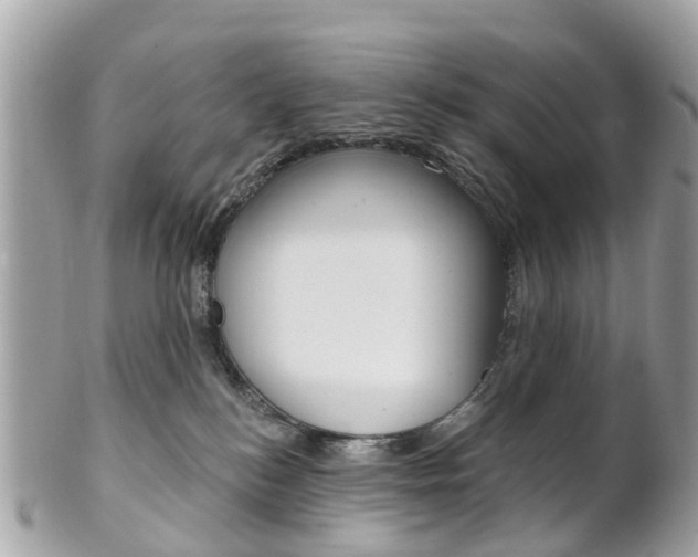 X0000102000184200807180857